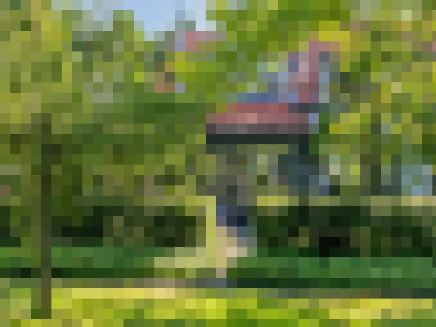 Noordlangeweg 32 Kats thumbnail 29