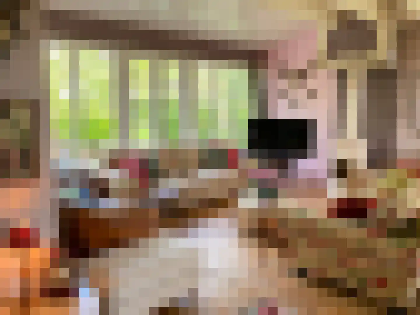 Noordlangeweg 32 Kats thumbnail 37
