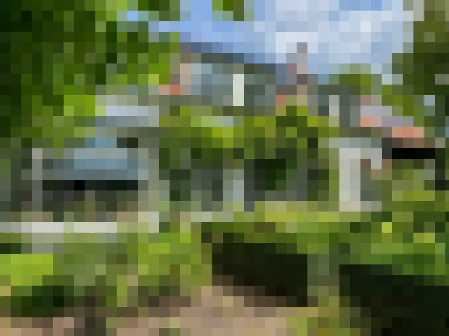 Noordlangeweg 32 Kats thumbnail 5