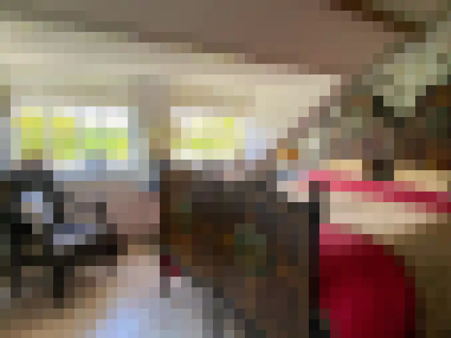 Noordlangeweg 32 Kats thumbnail 62
