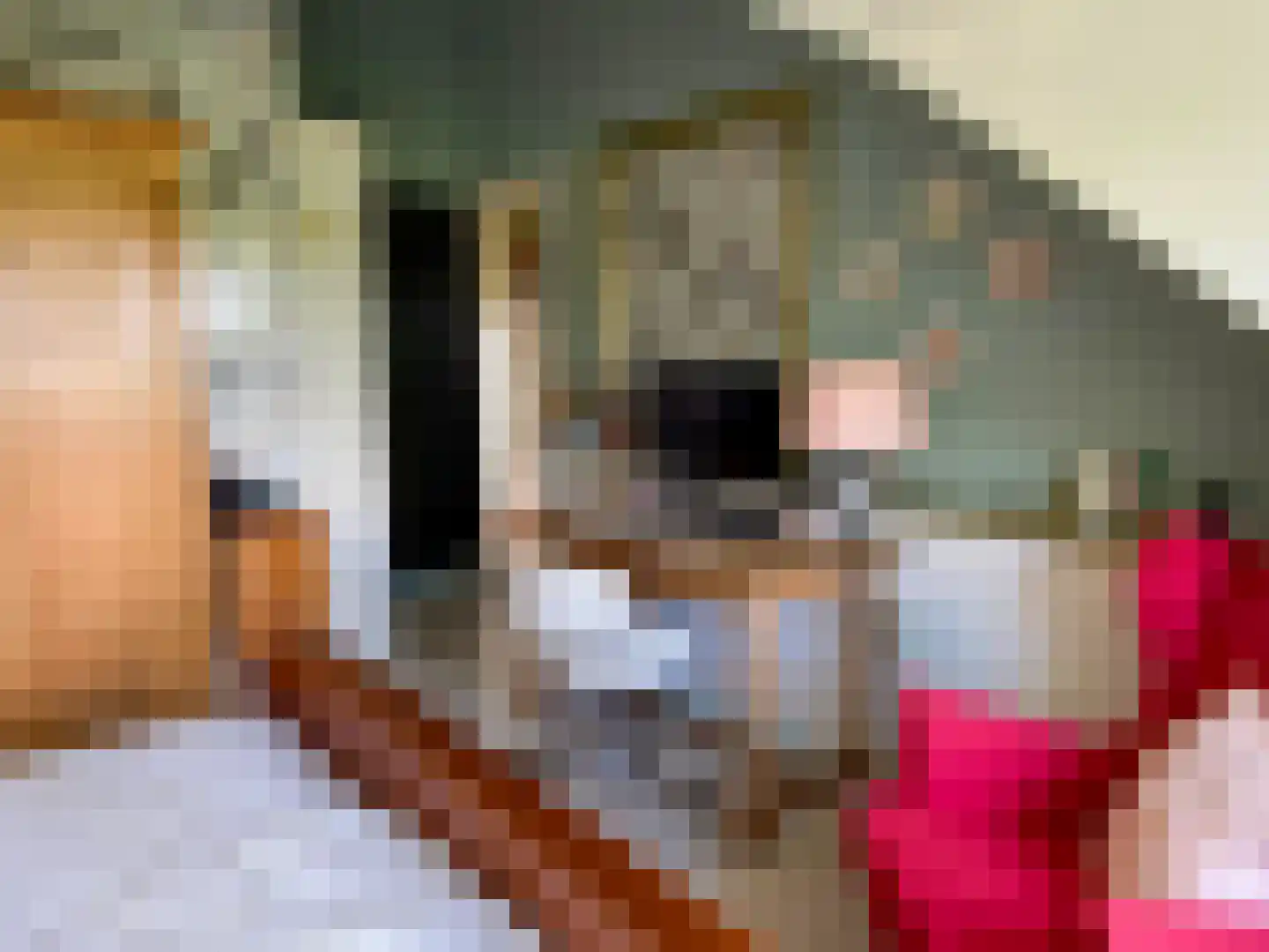 Noordlangeweg 32 Kats thumbnail 64