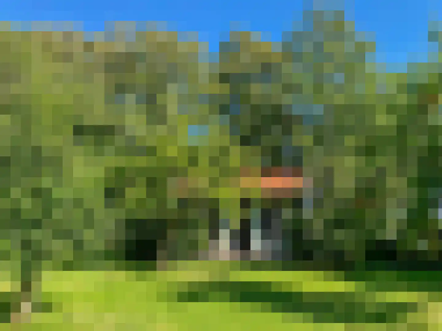Noordlangeweg 32 Kats thumbnail 69