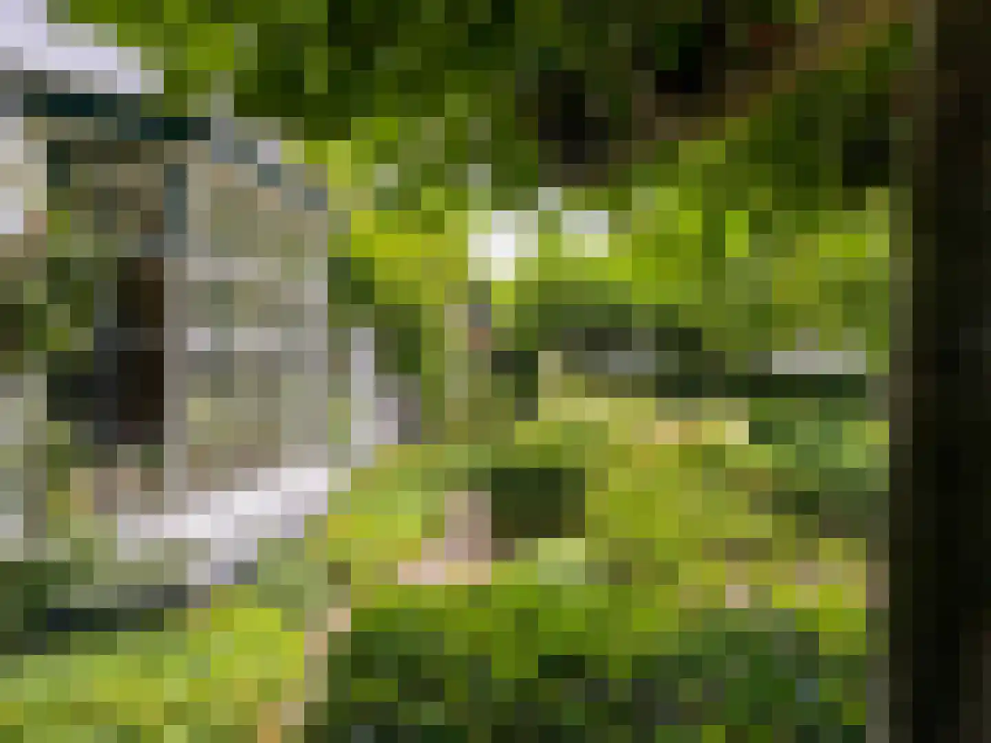 Noordlangeweg 32 Kats thumbnail 7