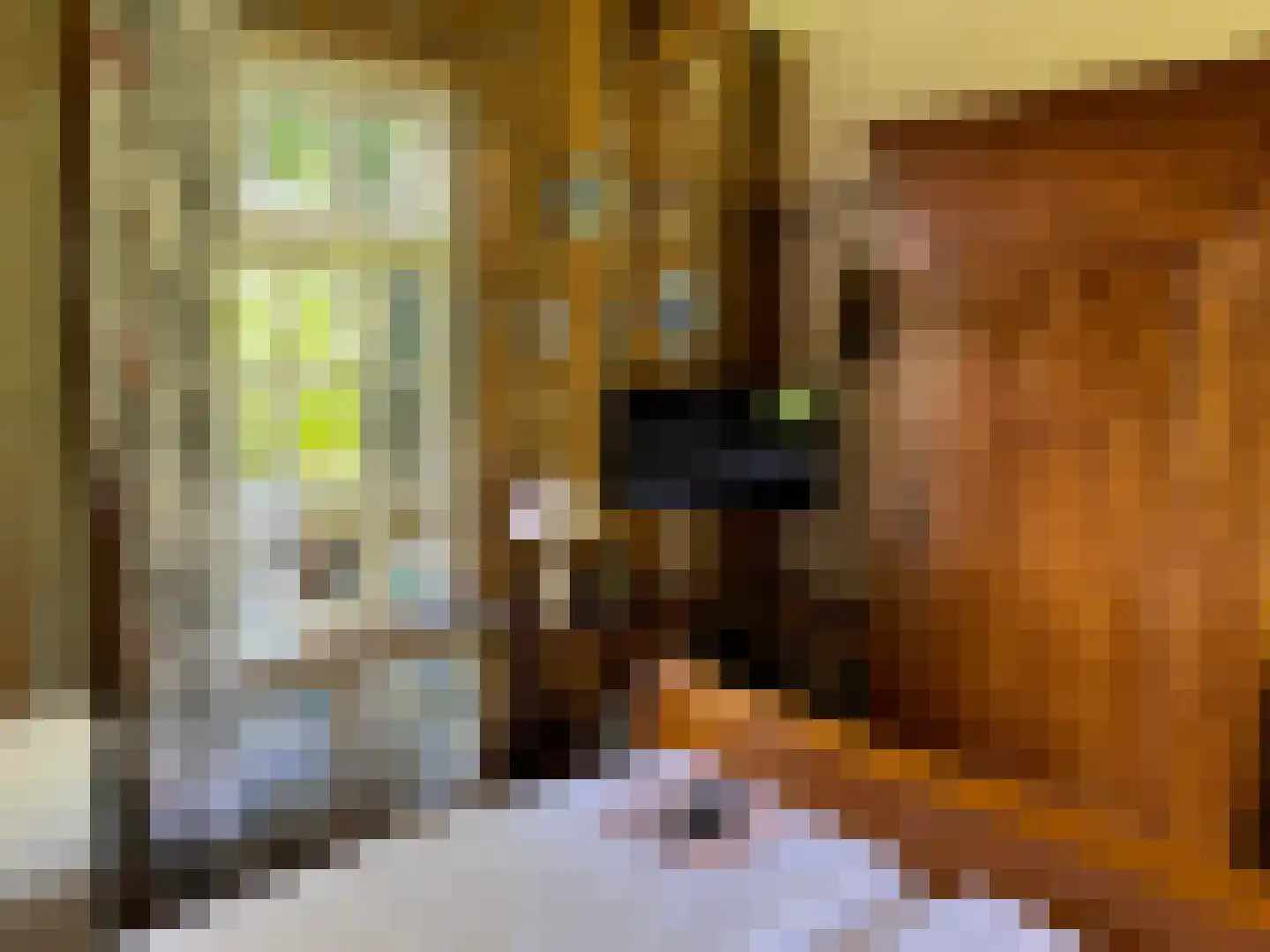 Noordlangeweg 32 Kats thumbnail 74