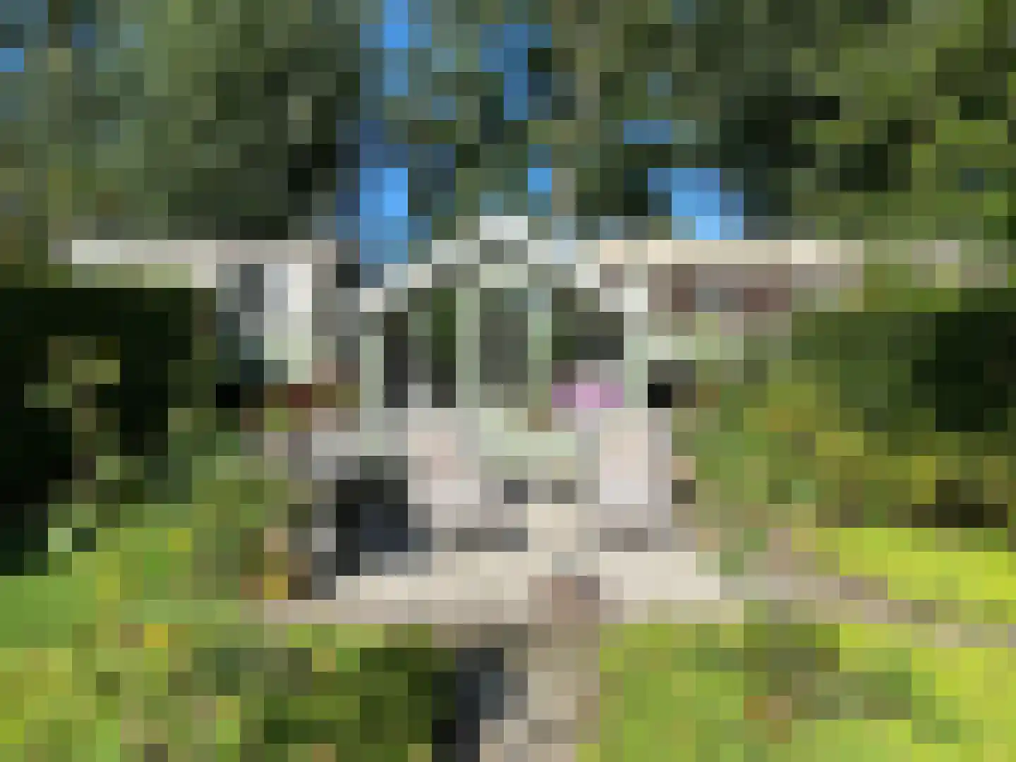 Noordlangeweg 32 Kats thumbnail 77