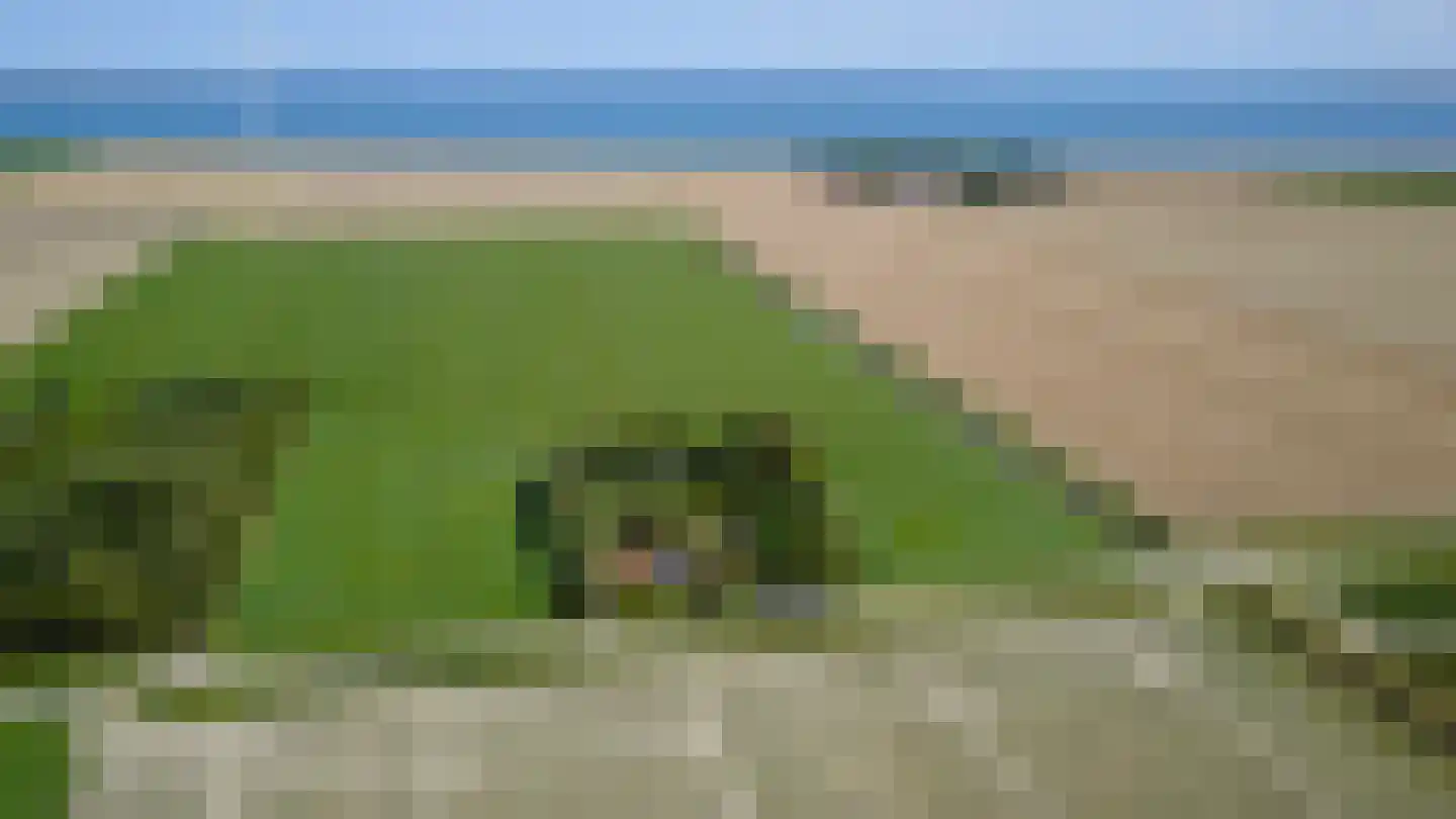 Noordlangeweg 32 Kats thumbnail 8