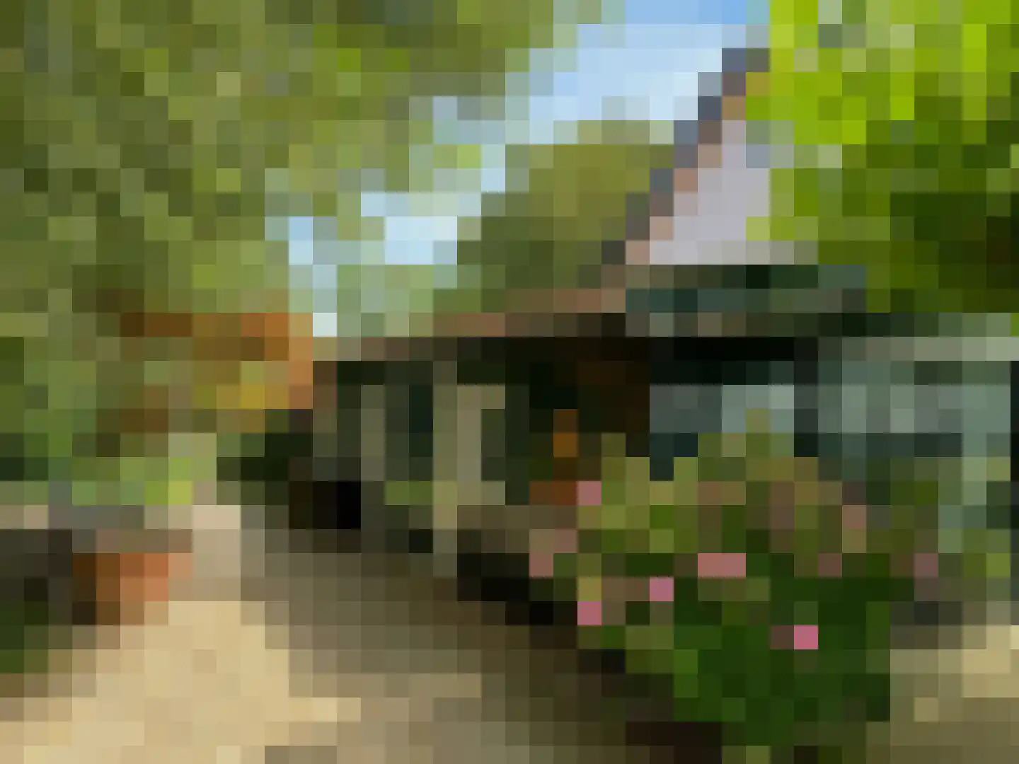 Noordlangeweg 32 Kats thumbnail 84