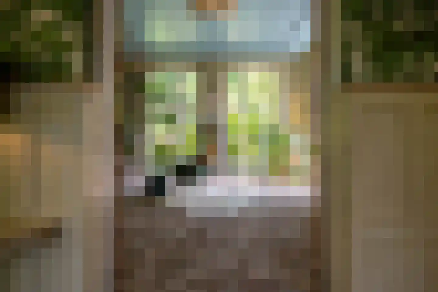 Noordlangeweg 34 Kats thumbnail 12