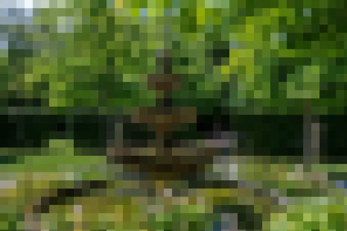 Noordlangeweg 34 Kats thumbnail 17