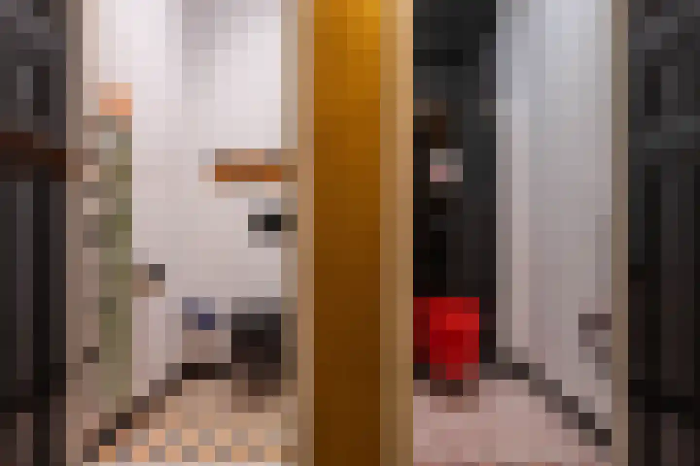 Noordlangeweg 34 Kats thumbnail 22