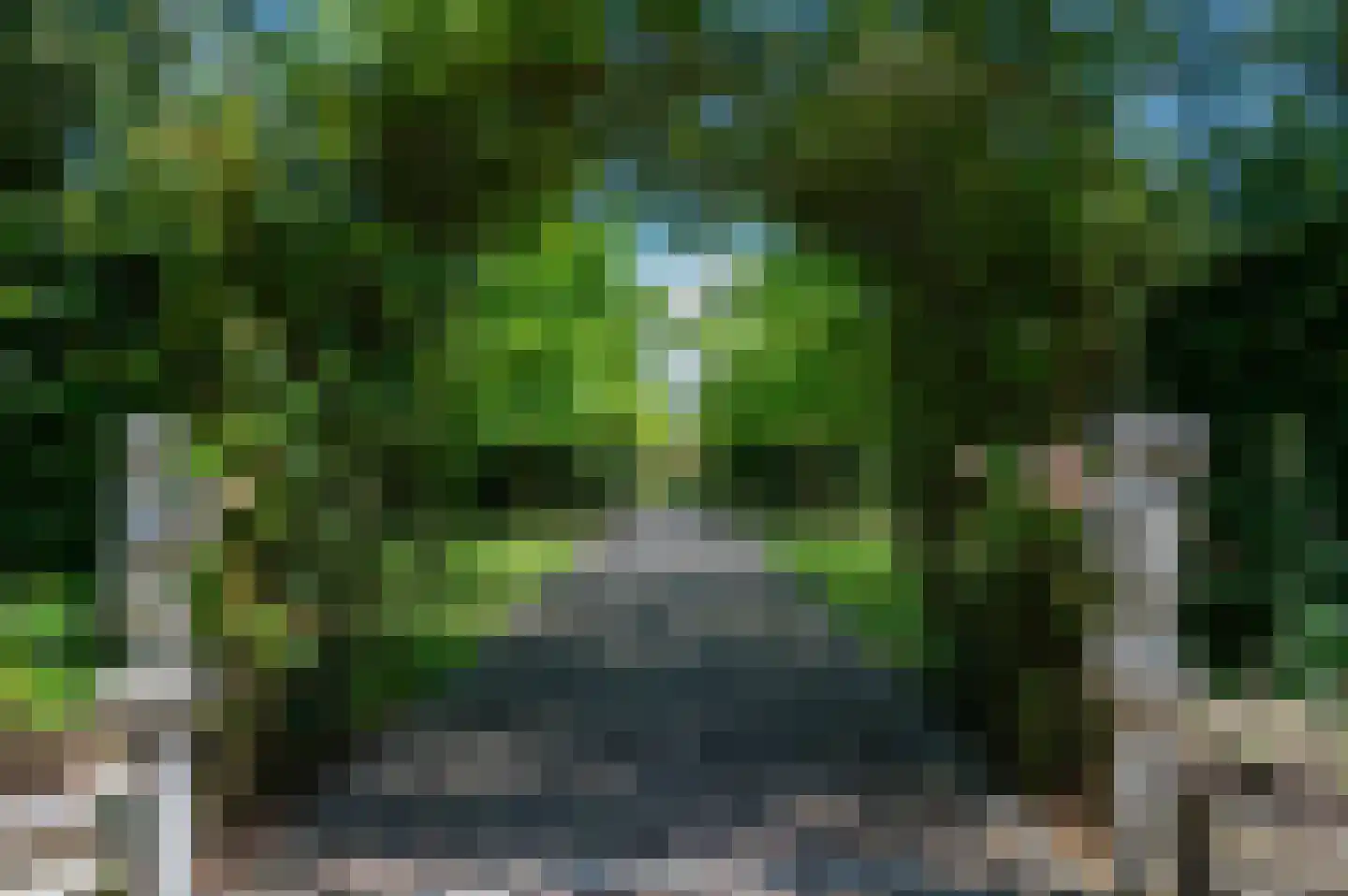 Noordlangeweg 34 Kats thumbnail 24