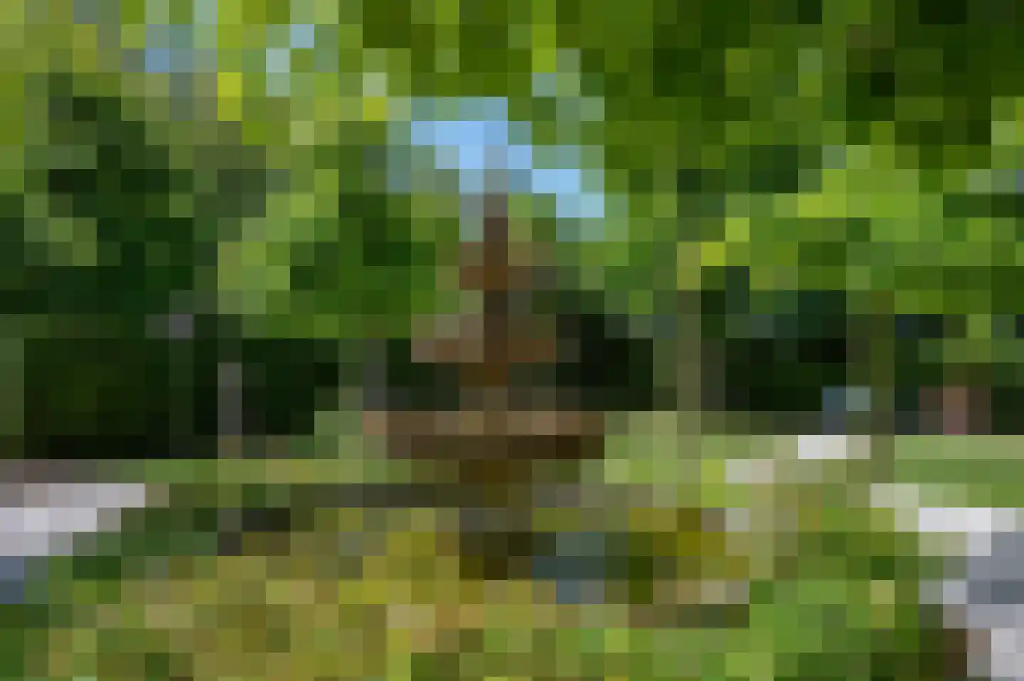 Noordlangeweg 34 Kats thumbnail 25