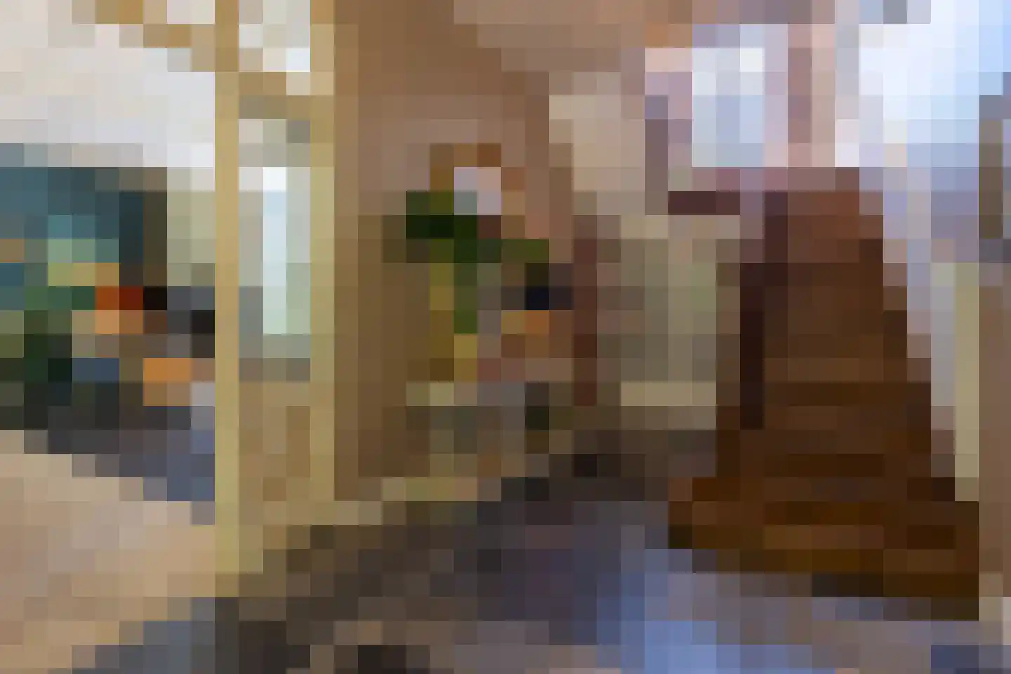 Noordlangeweg 34 Kats thumbnail 26