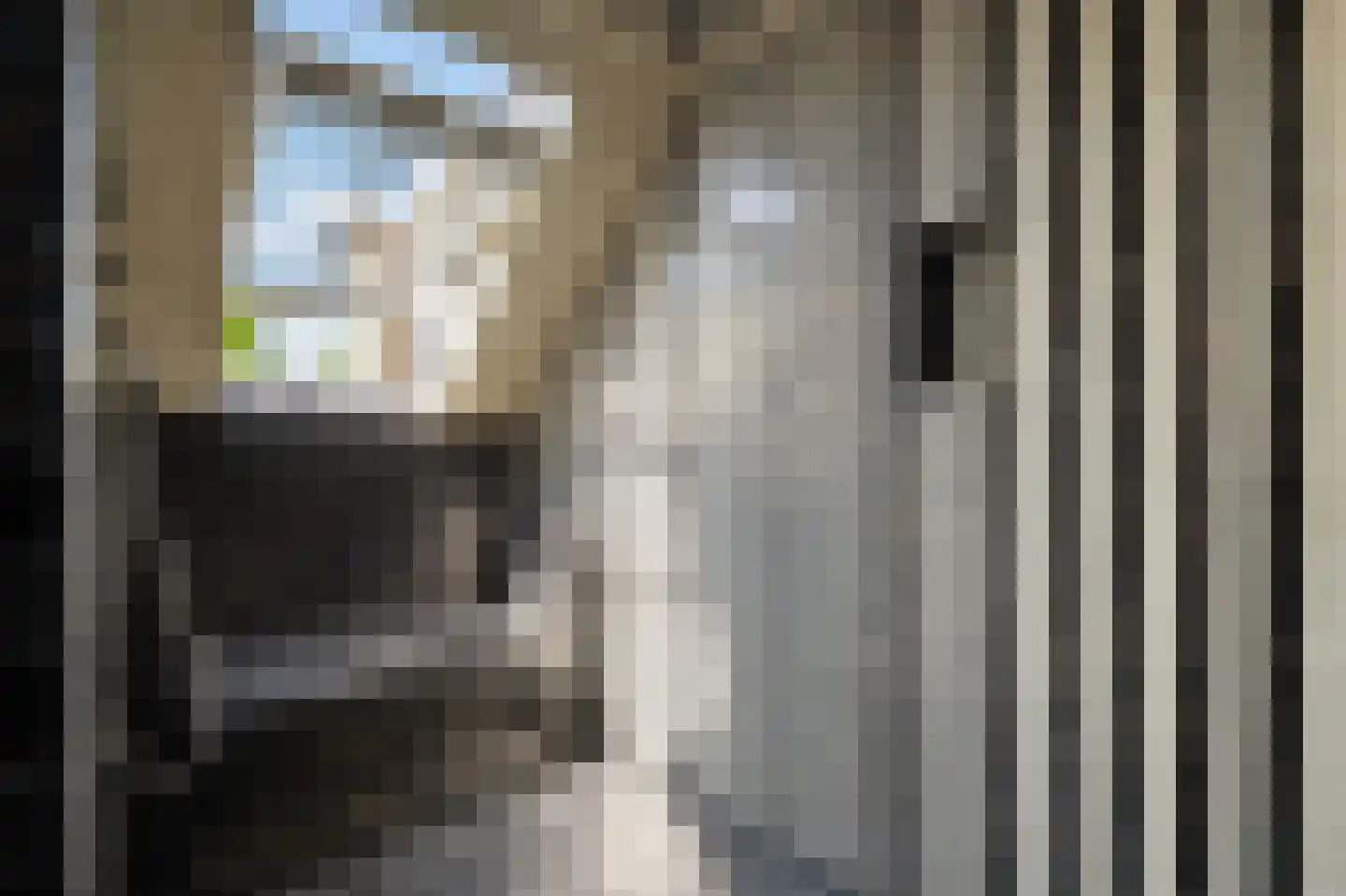 Noordlangeweg 34 Kats thumbnail 31