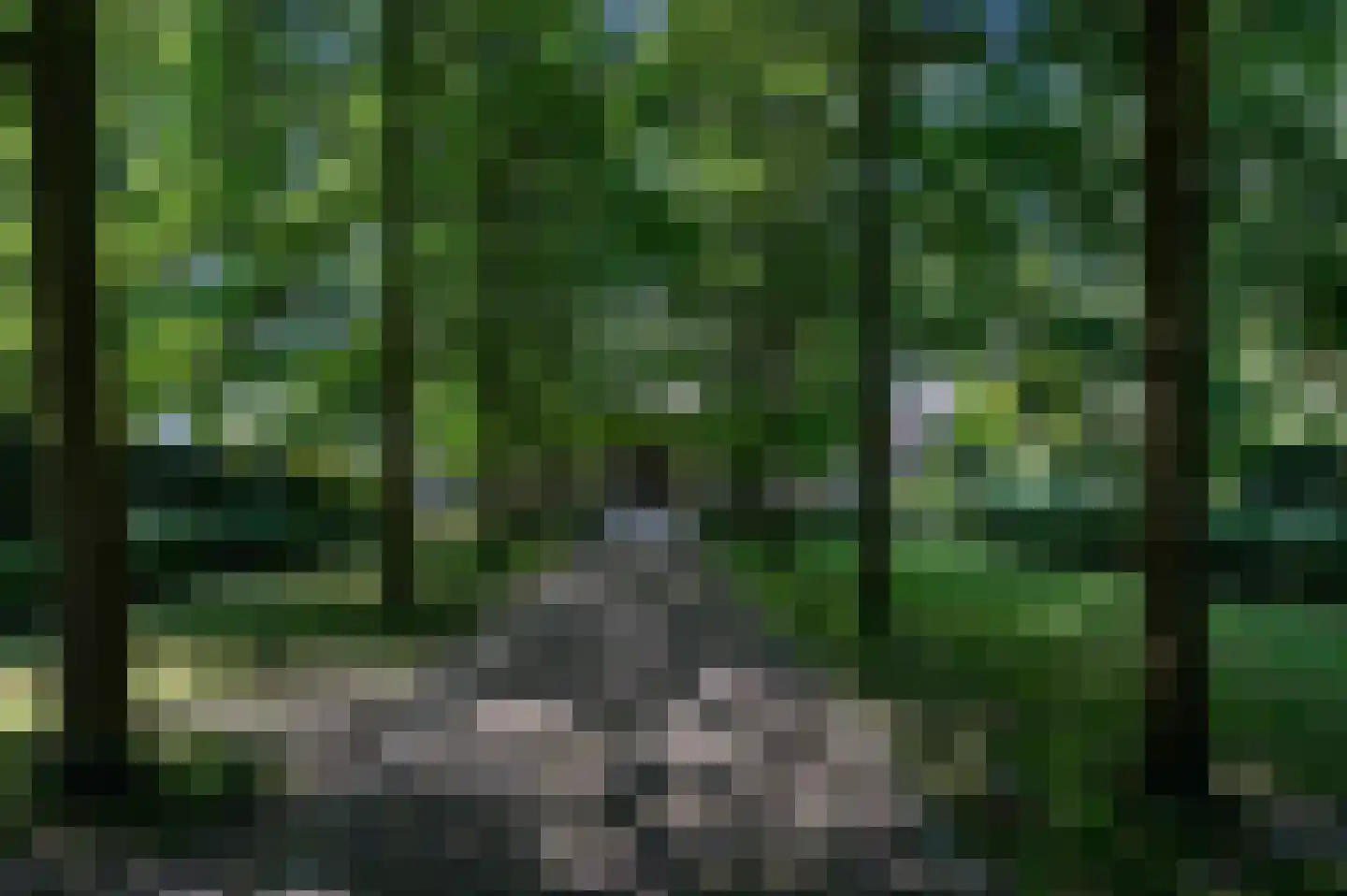 Noordlangeweg 34 Kats thumbnail 35