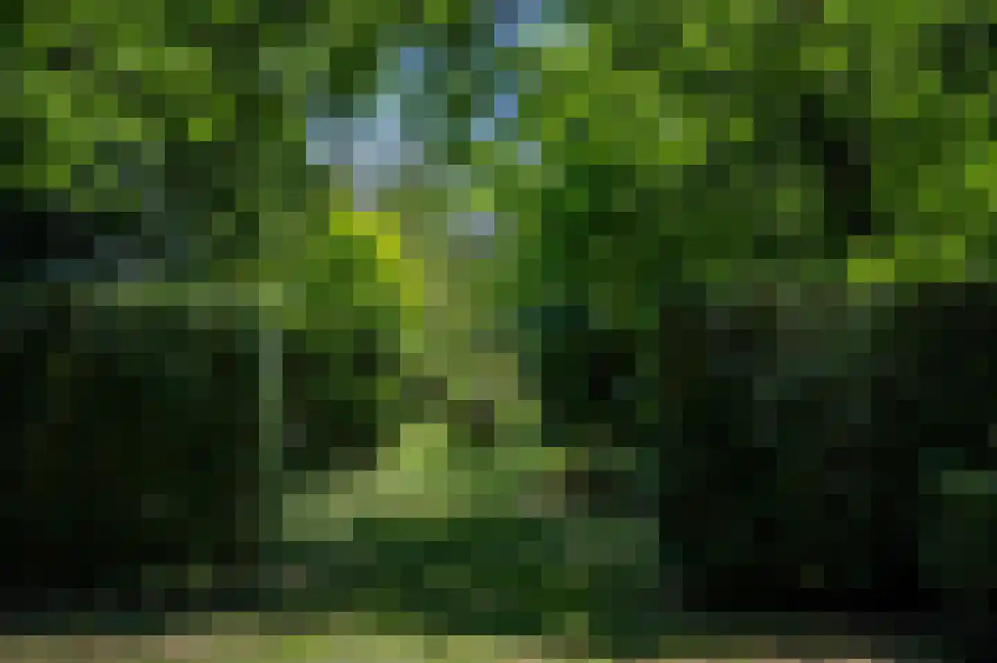 Noordlangeweg 34 Kats thumbnail 36