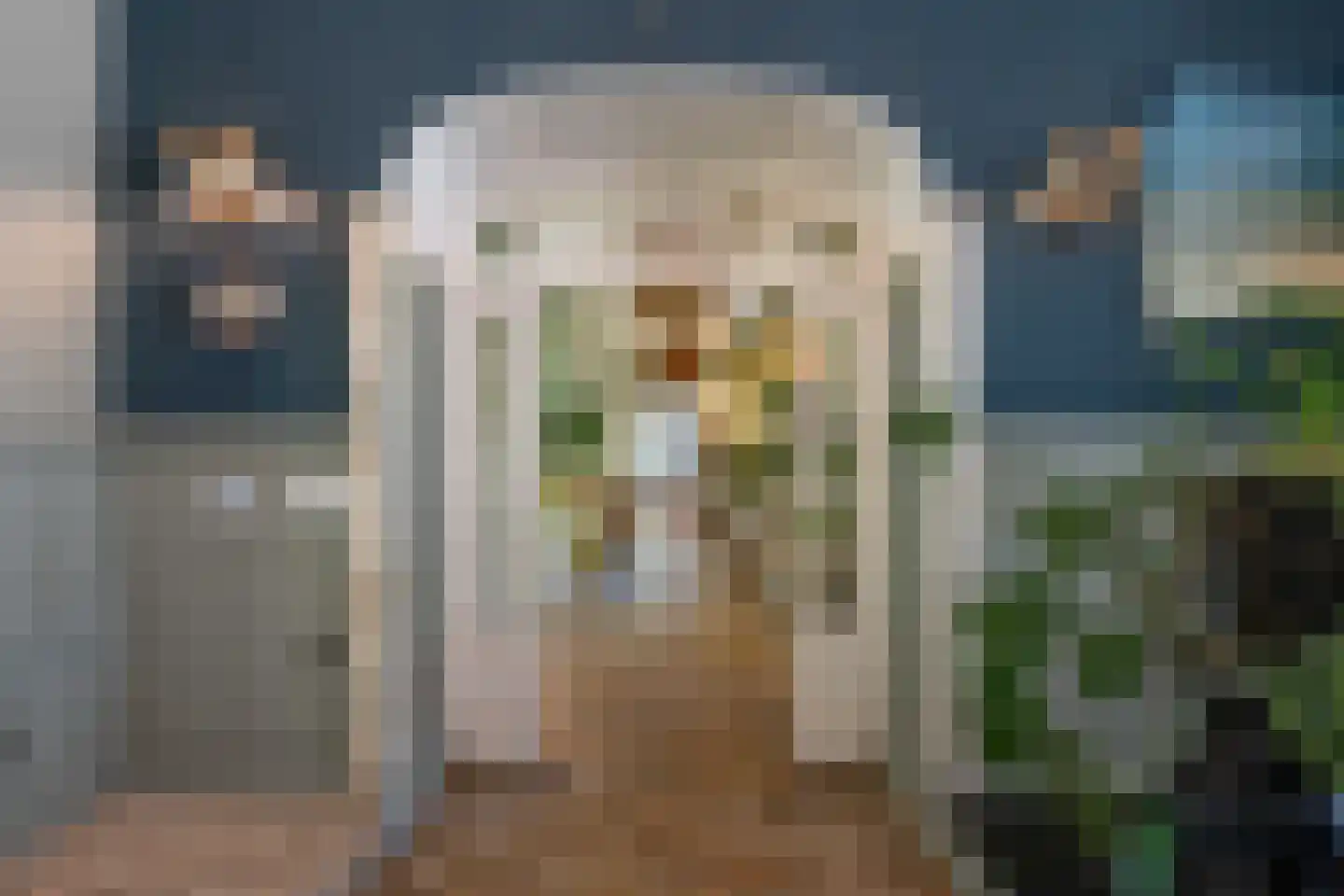 Noordlangeweg 34 Kats thumbnail 38