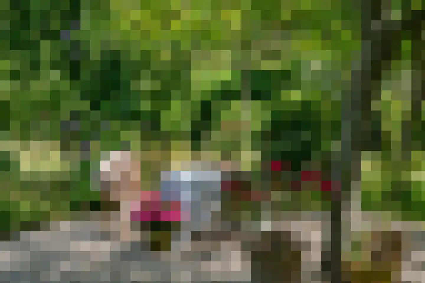 Noordlangeweg 34 Kats thumbnail 39
