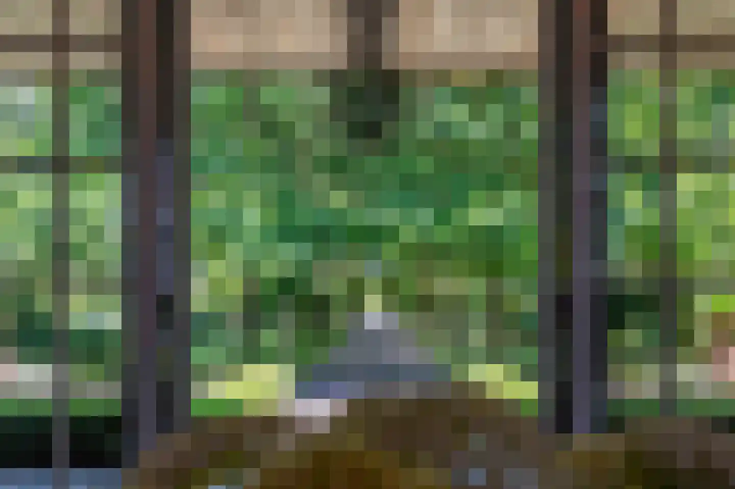 Noordlangeweg 34 Kats thumbnail 41