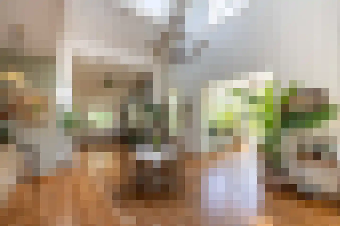 Noordlangeweg 34 Kats thumbnail 44