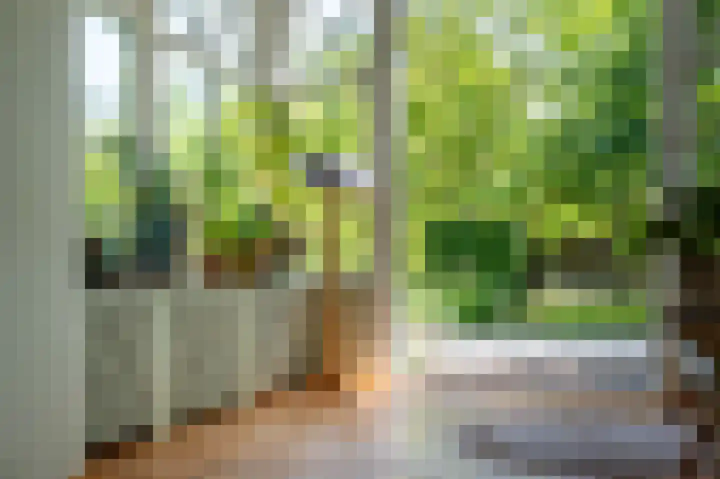 Noordlangeweg 34 Kats thumbnail 45