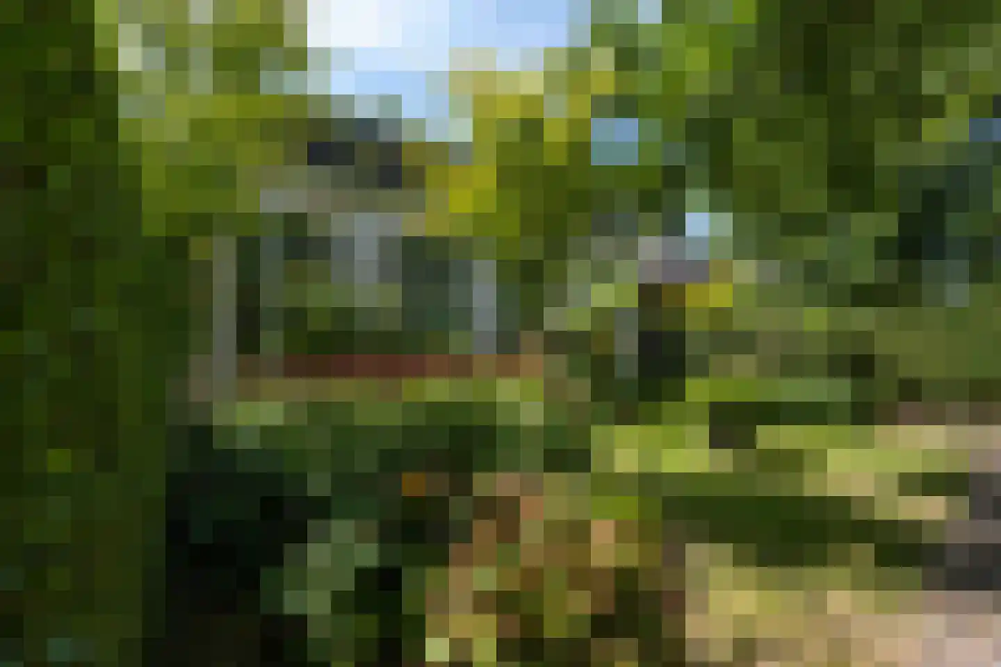 Noordlangeweg 34 Kats thumbnail 47