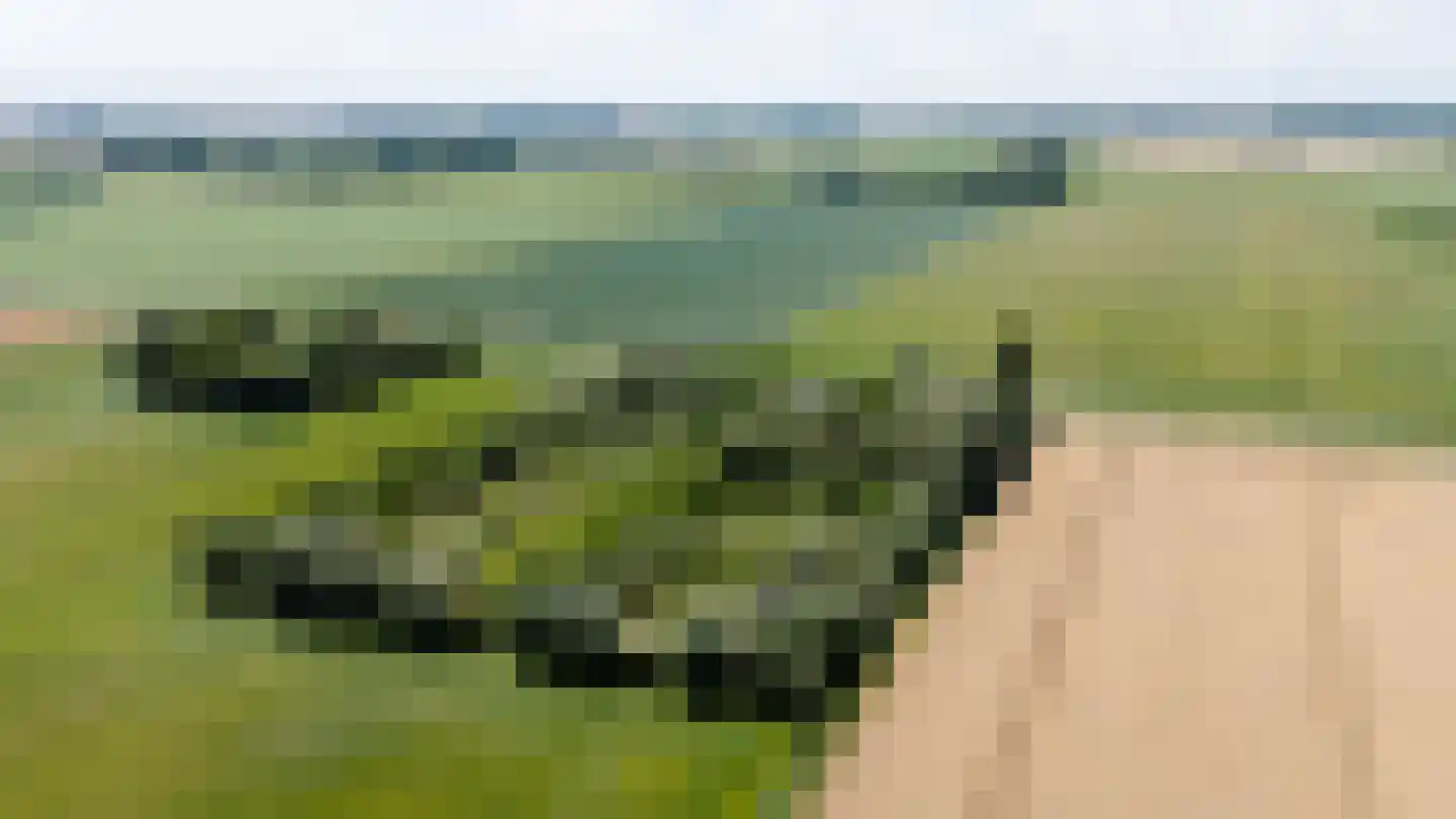 Noordlangeweg 34 Kats thumbnail 50