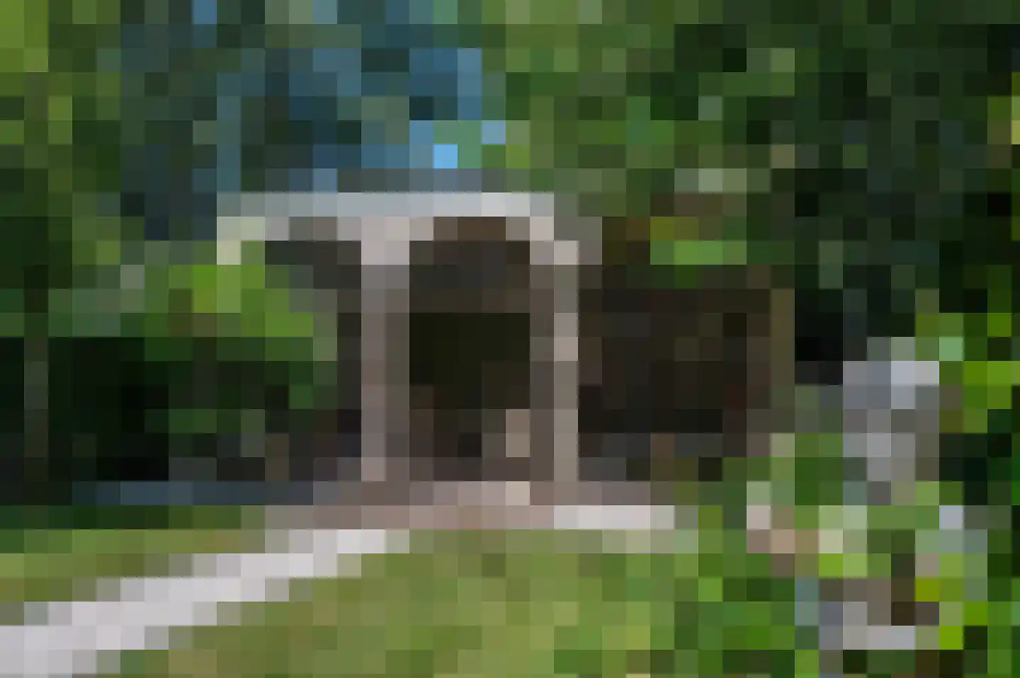 Noordlangeweg 34 Kats thumbnail 6