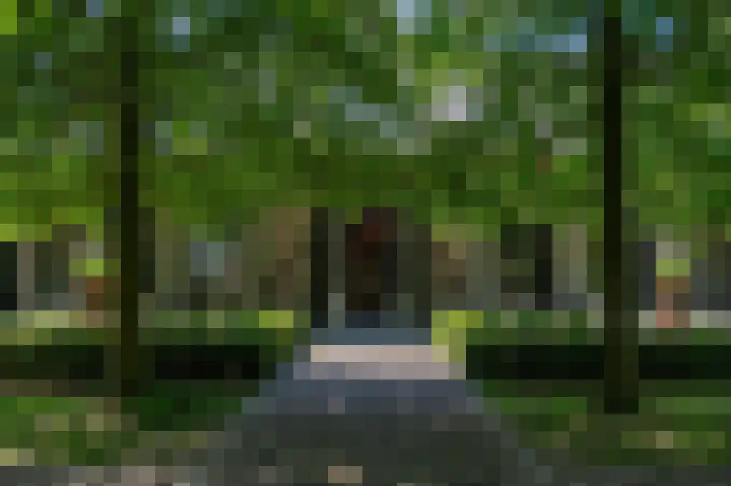 Noordlangeweg 34 Kats thumbnail 8