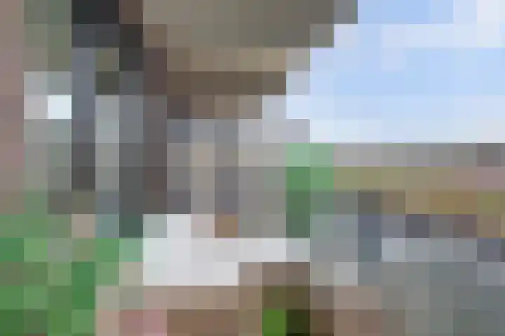 Noordmanshof 10 Katwijk thumbnail 26