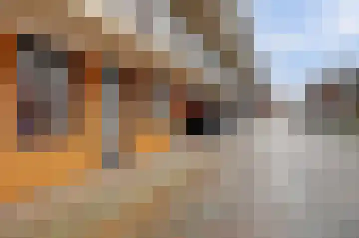 Noordmanshof 10 Katwijk thumbnail 28