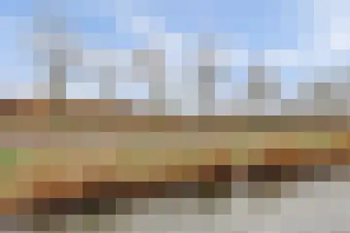 Noordmanshof 10 Katwijk thumbnail 35