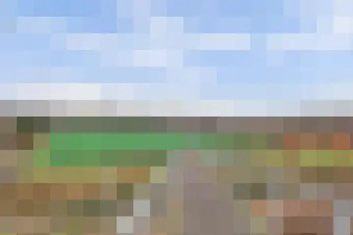 Noordmanshof 10 Katwijk thumbnail 36