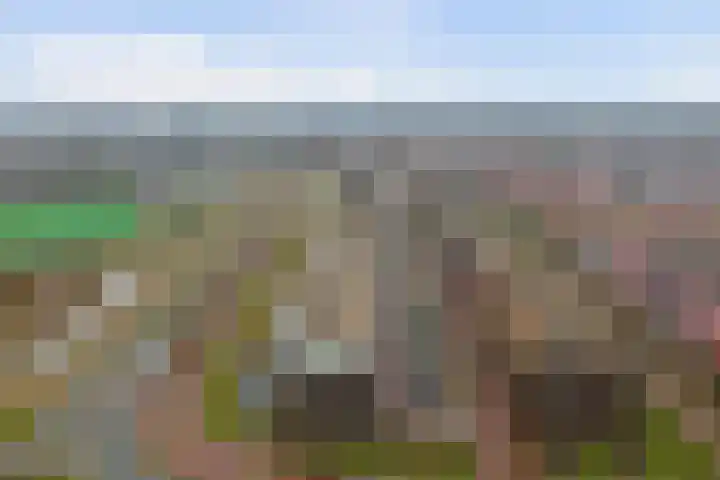 Noordmanshof 10 Katwijk thumbnail 39