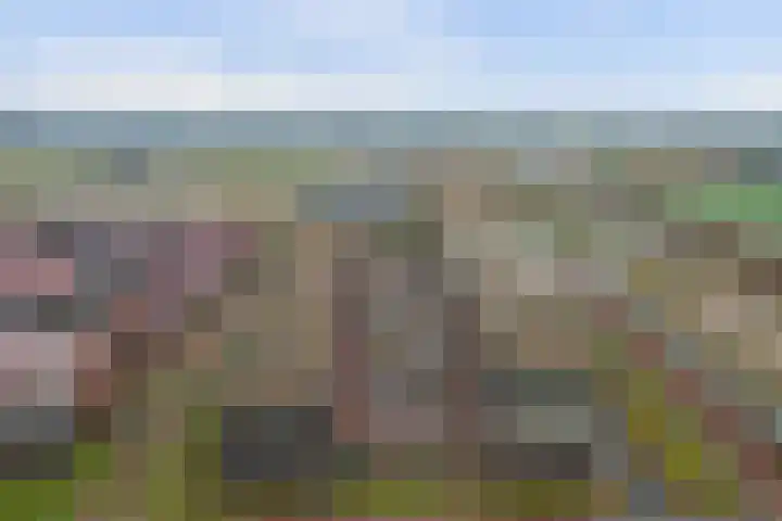 Noordmanshof 10 Katwijk thumbnail 40
