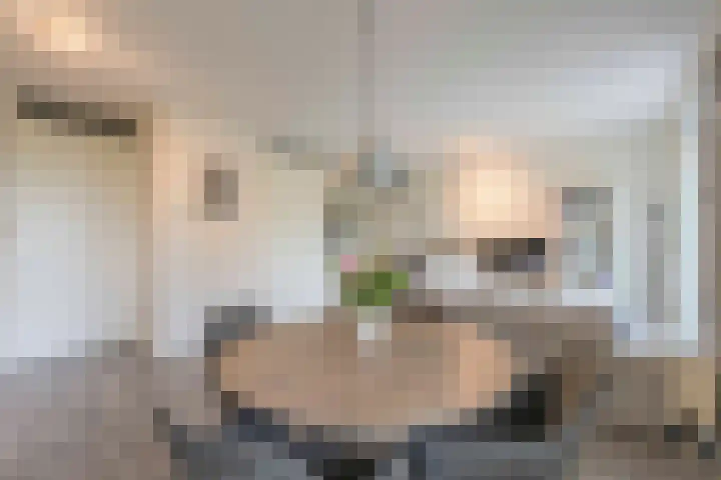 Noordmanshof 20 Katwijk thumbnail 20