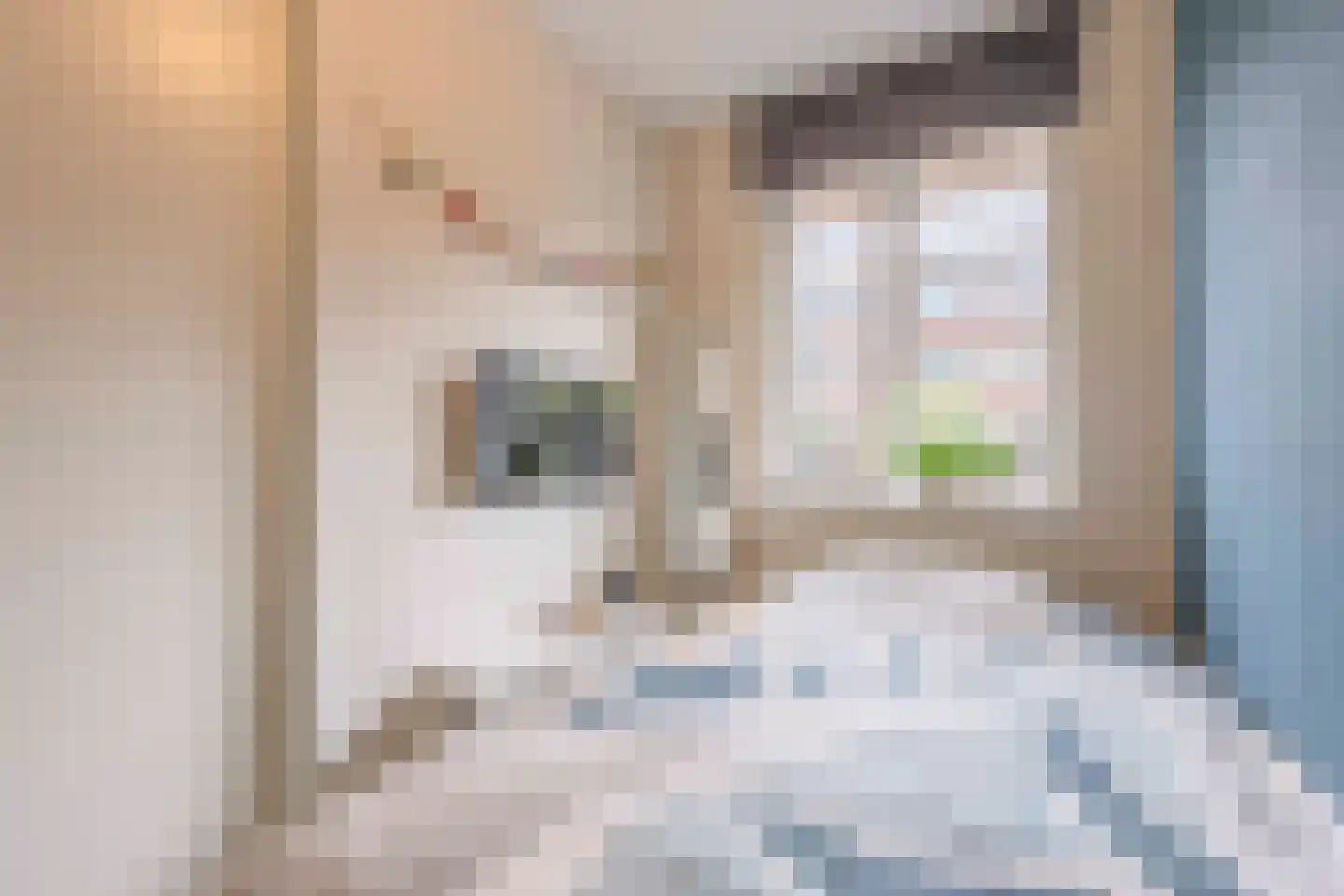 Noordmanshof 20 Katwijk thumbnail 28