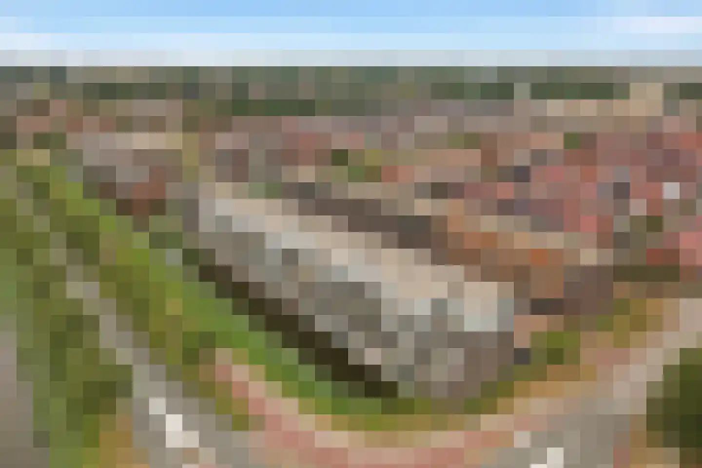 Noordmanshof 36 Katwijk thumbnail 41