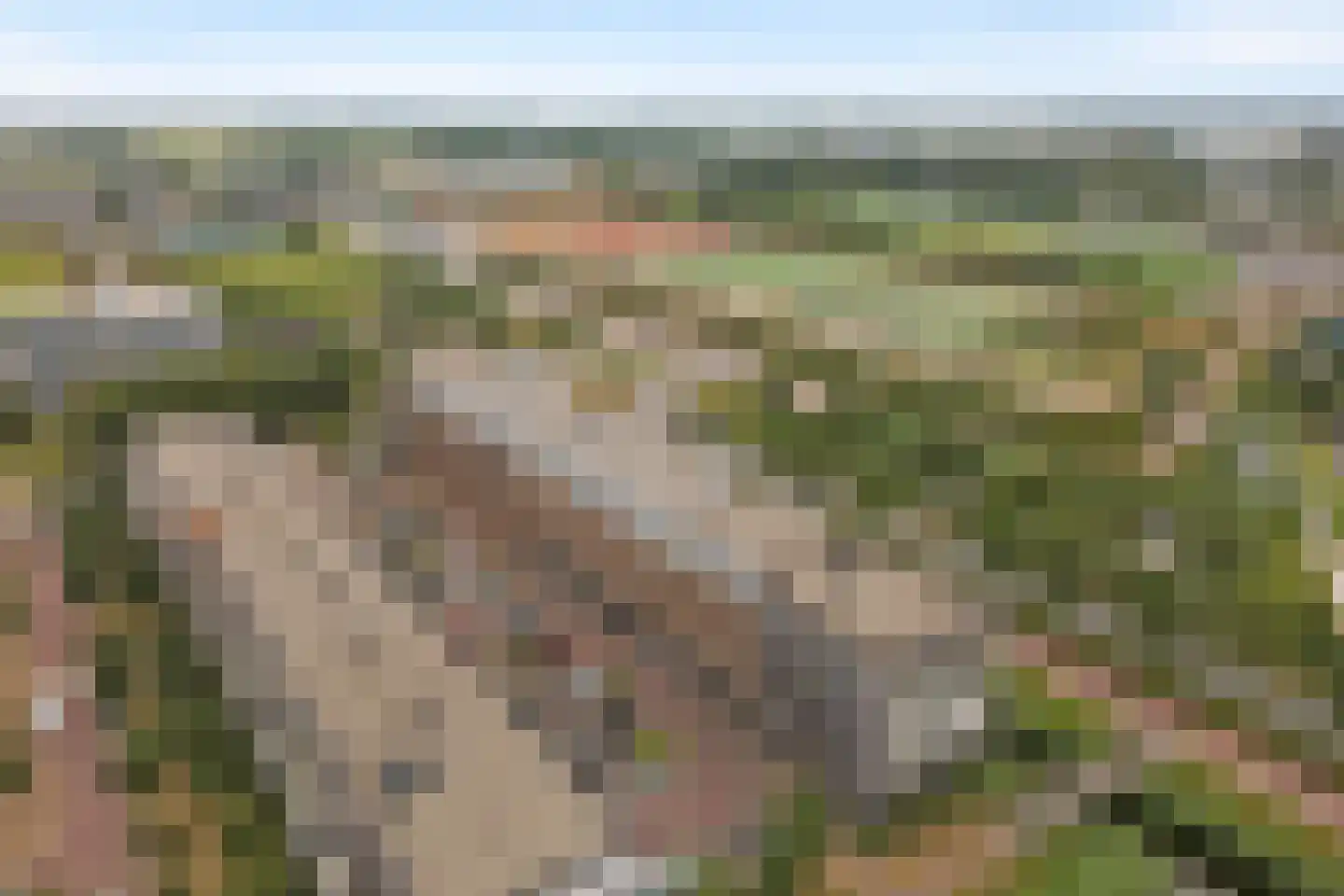 Noordmanshof 36 Katwijk thumbnail 44