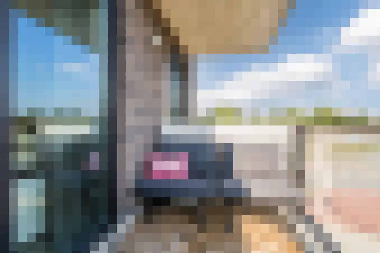 Noordmanshof 40 Katwijk thumbnail 45