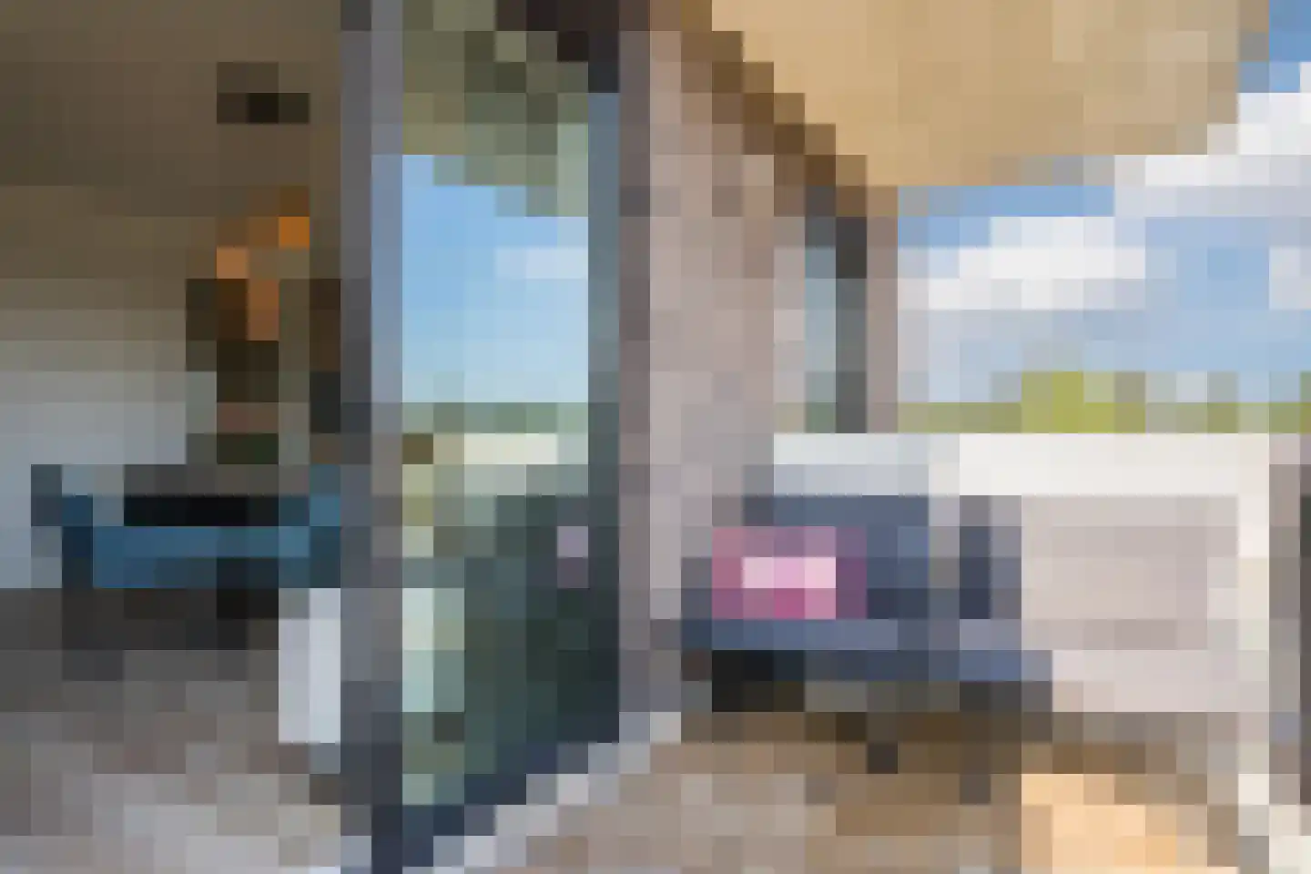 Noordmanshof 40 Katwijk thumbnail 46