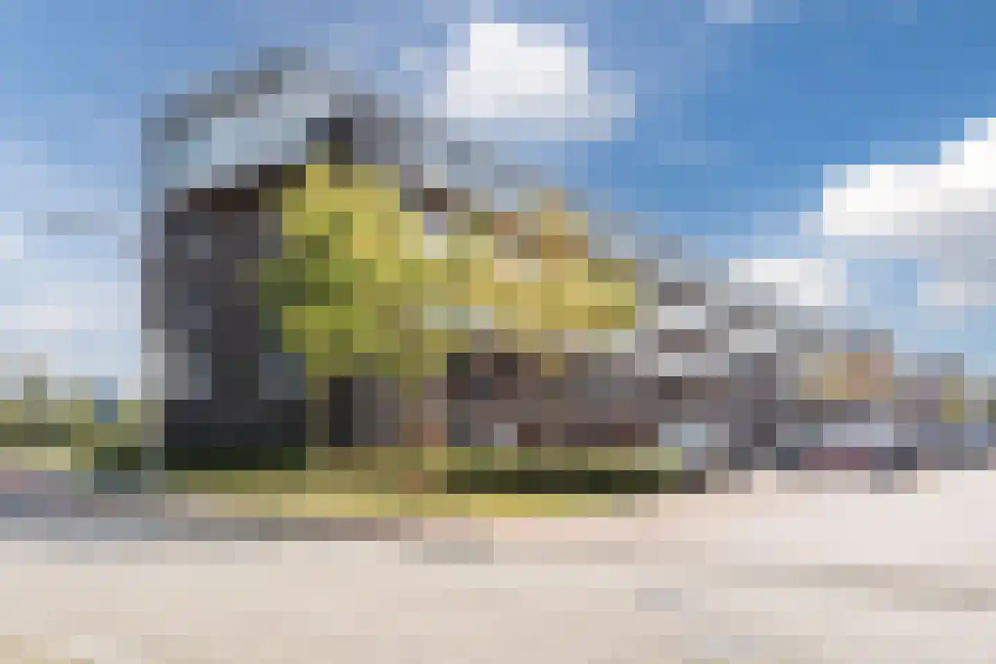 Noordmanshof 40 Katwijk thumbnail 51