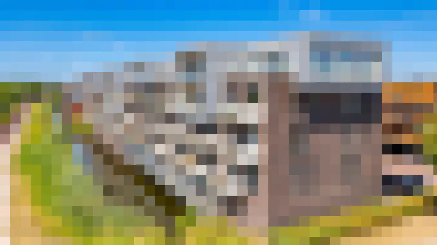 Noordmanshof 40 Katwijk thumbnail 52