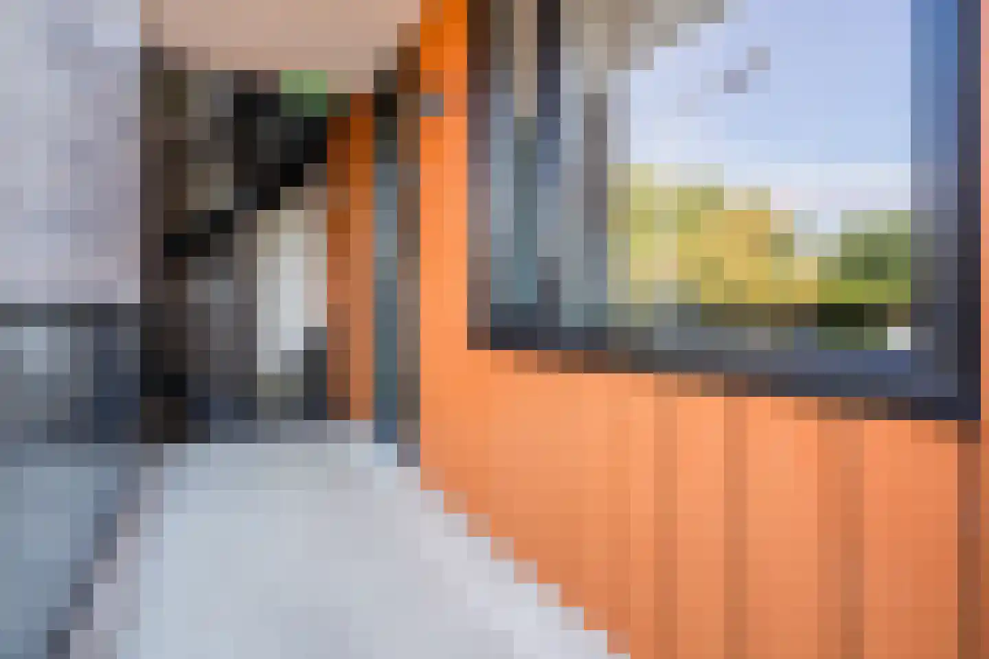 Noordmanshof 40 Katwijk thumbnail 8