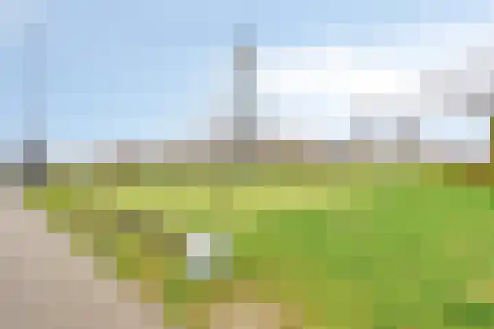 Noordmanshof 64 Katwijk thumbnail 48
