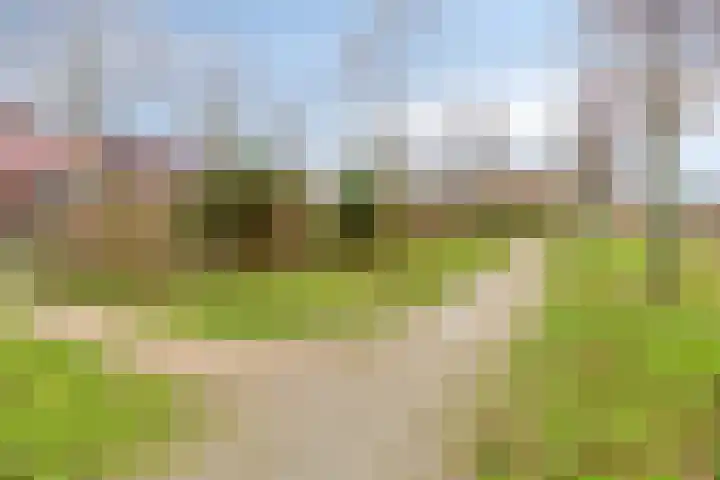 Noordmanshof 64 Katwijk thumbnail 53