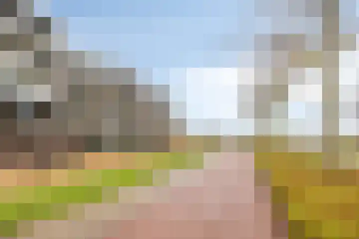 Noordmanshof 64 Katwijk thumbnail 7
