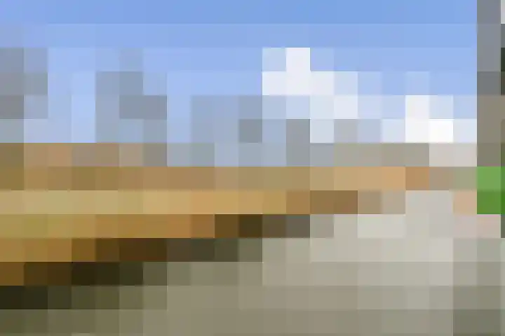 Noordmanshof 8 Katwijk thumbnail 11