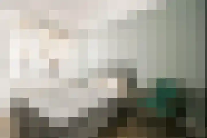 Noordmanshof 8 Katwijk thumbnail 12