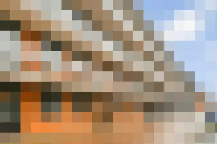 Noordmanshof 8 Katwijk thumbnail 21